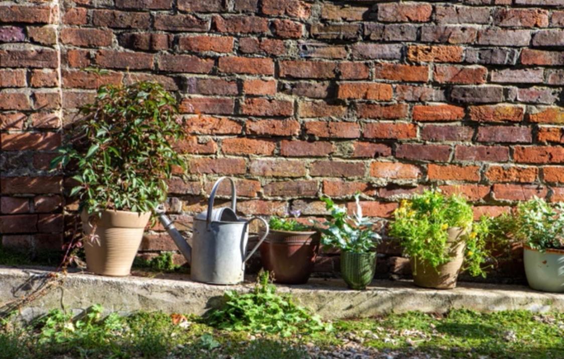 Bridport Garden Suite Kültér fotó